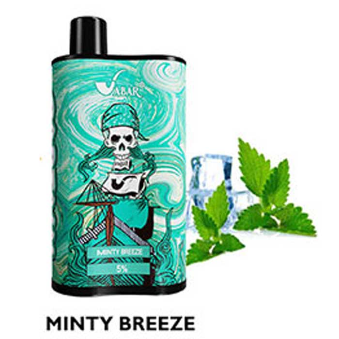 Minty Breeze Vabar Captain Disposable Vape - Vape UAE